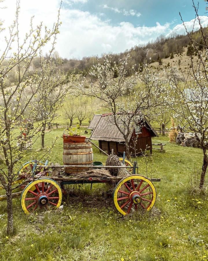 Log Cabin Uvac Nova Varoš Værelse billede