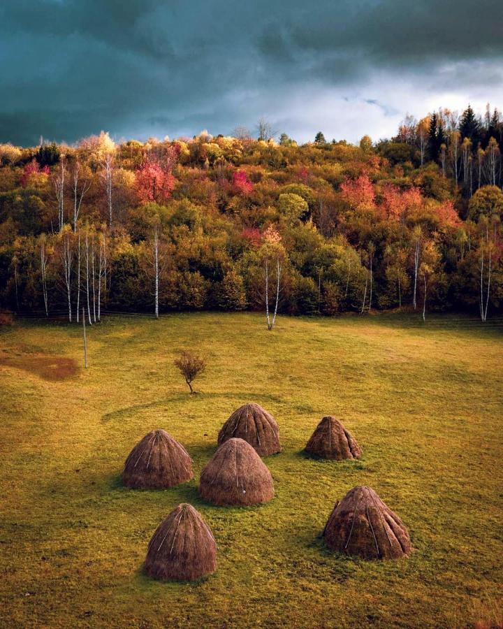 Log Cabin Uvac Nova Varoš Eksteriør billede