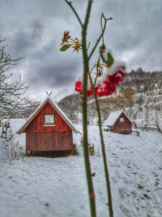 Log Cabin Uvac Nova Varoš Eksteriør billede