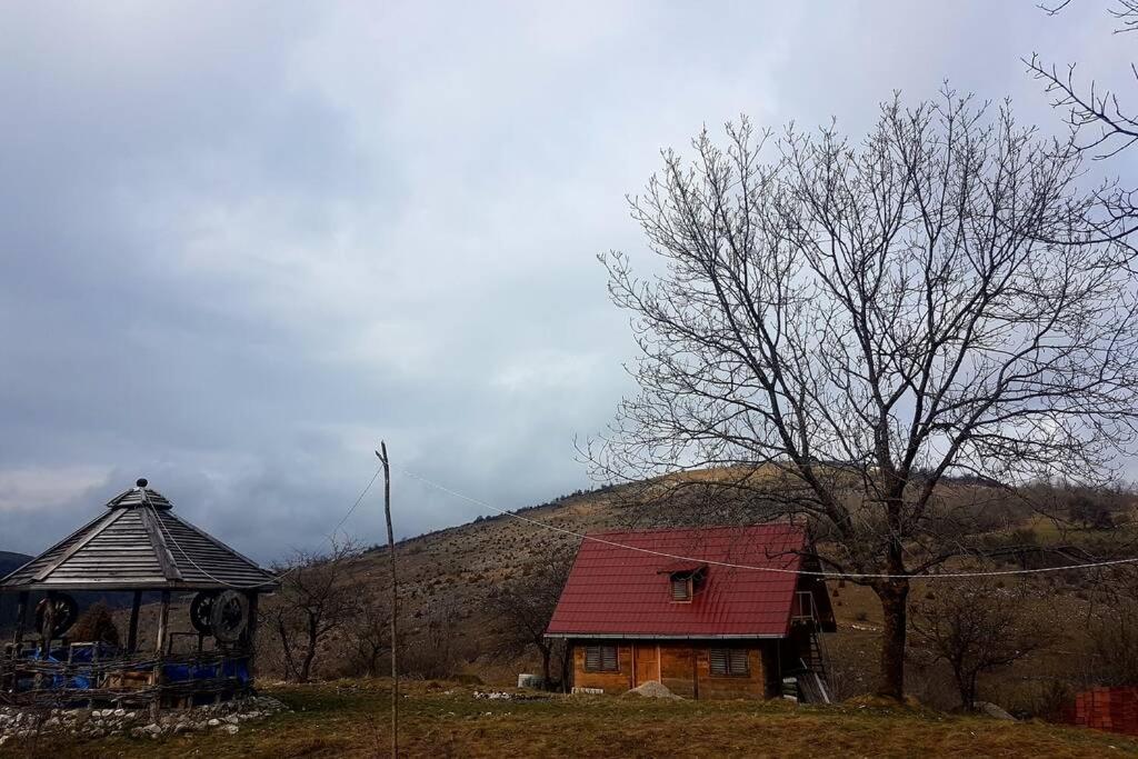 Log Cabin Uvac Nova Varoš Eksteriør billede