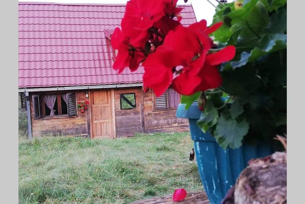 Log Cabin Uvac Nova Varoš Eksteriør billede