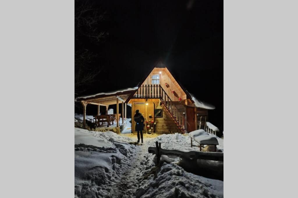 Log Cabin Uvac Nova Varoš Eksteriør billede